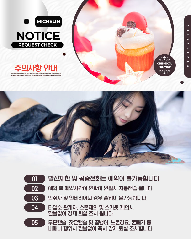 미슐랭_주의사항.jpg